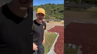 Felix in Costa Rica. Was ist Natural Processing