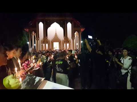 26ตุลาคม2559"ต้นไม้ของพ่อ"