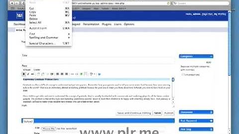 Upload PLR Content to Wordpress