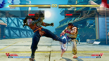SFVAE v3.6: Sagat tech