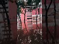 VIT Chennai during Rains #trending #travel #chennai #vitchennai