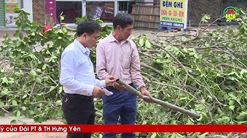 Thi công đường ống nước, gây mất nước sinh hoạt cho nhiều hộ dân phường Dị Sử