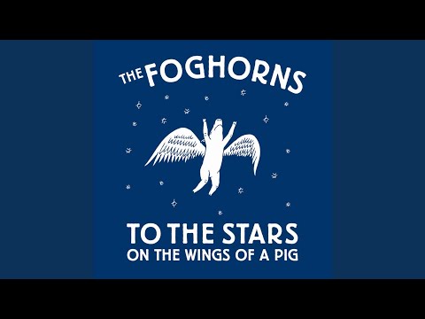 To The Stars On The Wings Of A Pig artwork