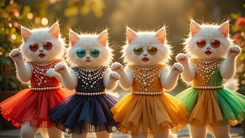 Video 11894191: kitten meowing, cute cat dance