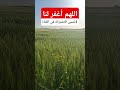 الدكاءالاصطناعي الورقات الغلا اكسبلور تيك توك دويتو ترند الجيلي نفيسه في ترند تيك توك لا