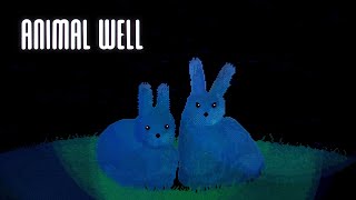 Animal Well (Lauch Day!)