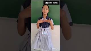 OPPOSITES WORDS WITH FUN AND ACTION || LMPS
