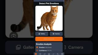 Pet Emotions Detection Flutter Mobile App #flutter #petcare #foryou #shorts #trending