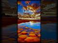 Quran | دل کو سکون دینے والا پیغام | #shorts  Islamic Bayan & Sunnah Reminder #quran