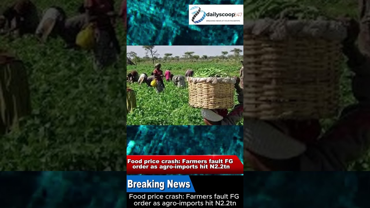 Food price crash: Farmers fault FG’s order as agro-imports hit N2.2tn 