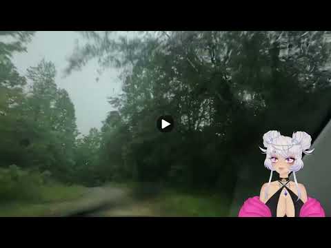 Please be careful! |Shy Reacts