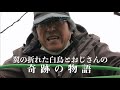 ドキュメンタリー映画「私は白鳥」予告編 絶賛上映中!
