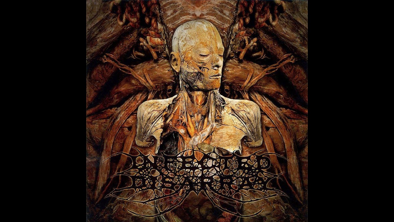 Watch Infected Disarray - Disseminating Obscenity (Full Album) on YouTube Watch Infected Disarray - Disseminating Obscenity (Full Album) on YouTube