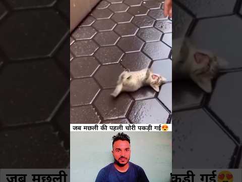 पहली चोरी😍