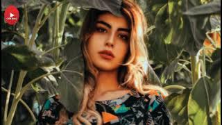 Fredy tornado 2022 || juvita Hau Nia doben ( lirik )