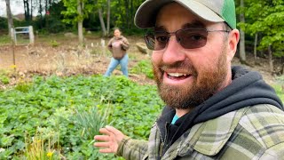 We Grow Most of Our Food… and Love Every Bit of It || Appalachian Homestead Life || May 2026