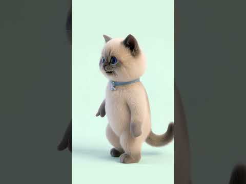 Left, Right!~~ #cat #cute #funny #cutecat #dancecover #catvideo #aicat