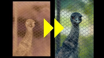 Editing Negatives In Lightroom - Fast and EASY way!