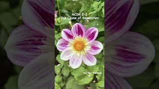 A Course in miracles, chapter 2, section 2. The cause of separation. Complete and annotated.
