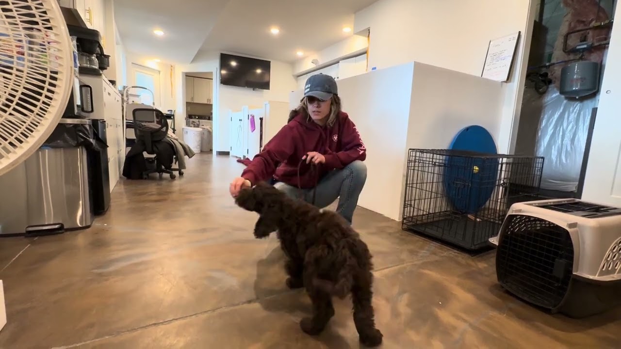 Roxy’s Go Home Video! 3.5.26