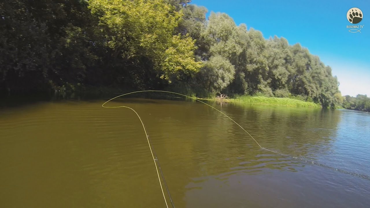 Нахлыст...оправданное доверие...bogomaz05