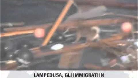 Japan Tsunami - CANE SALVATO IN MARE