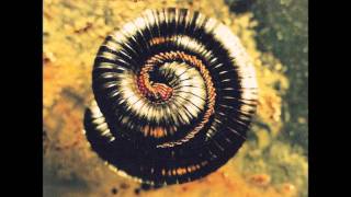 Nine Inch Nails-Closer (Internal)