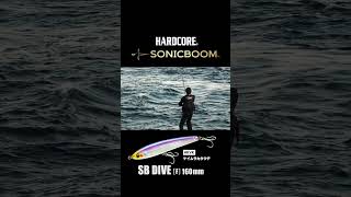 #ヒラマサ #SBダイブ #ハードコア