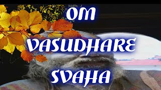 Om Vasudhare Svaha - Money Mantra
