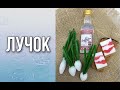 Мыло «Лучок»/Без спецформ/Добавка в мужские наборы/Своими руками/Мыловарение/Soap/Ароматик