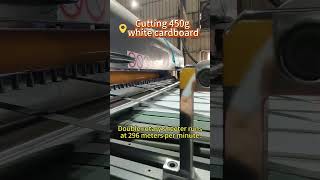 CHM Double Rotary Sheeter|Roll to Sheet Cutting Machine