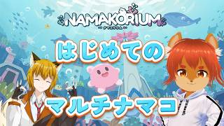 【ナマコリウム】はじめてのマルチ！海のおそうじしていくよー【ひとみんの巣箱放送】