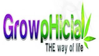 GrowpHicial Cannabis Community Internet Platform Sneak Peek