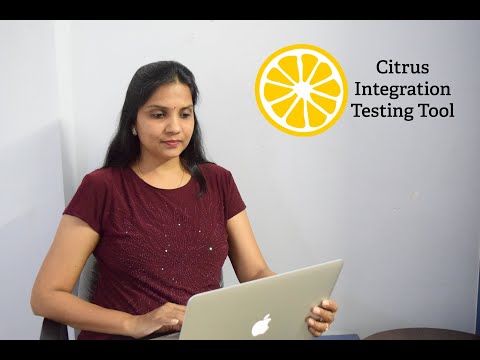 Citrus Integration Testing Framework 05 - Citrus Runner Designer Injection
