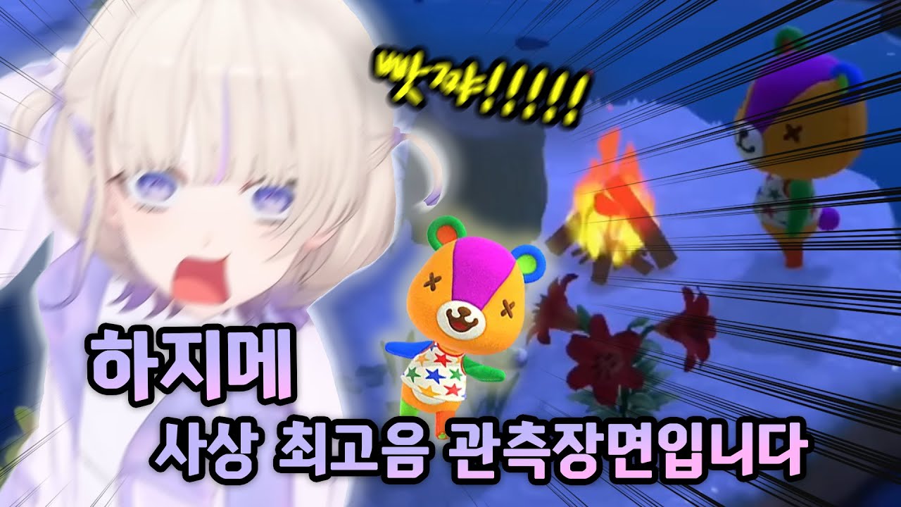 하지메의 동숲은 비명이 가득했다 (hajime 하지메 / hololive 홀로라이브 / vtuber 버튜버 / clip 키리누키 클립)