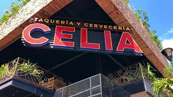 Is Avenida Quinta 5th Avenue in Playa del Carmen Mexico Safe? Walking Tour