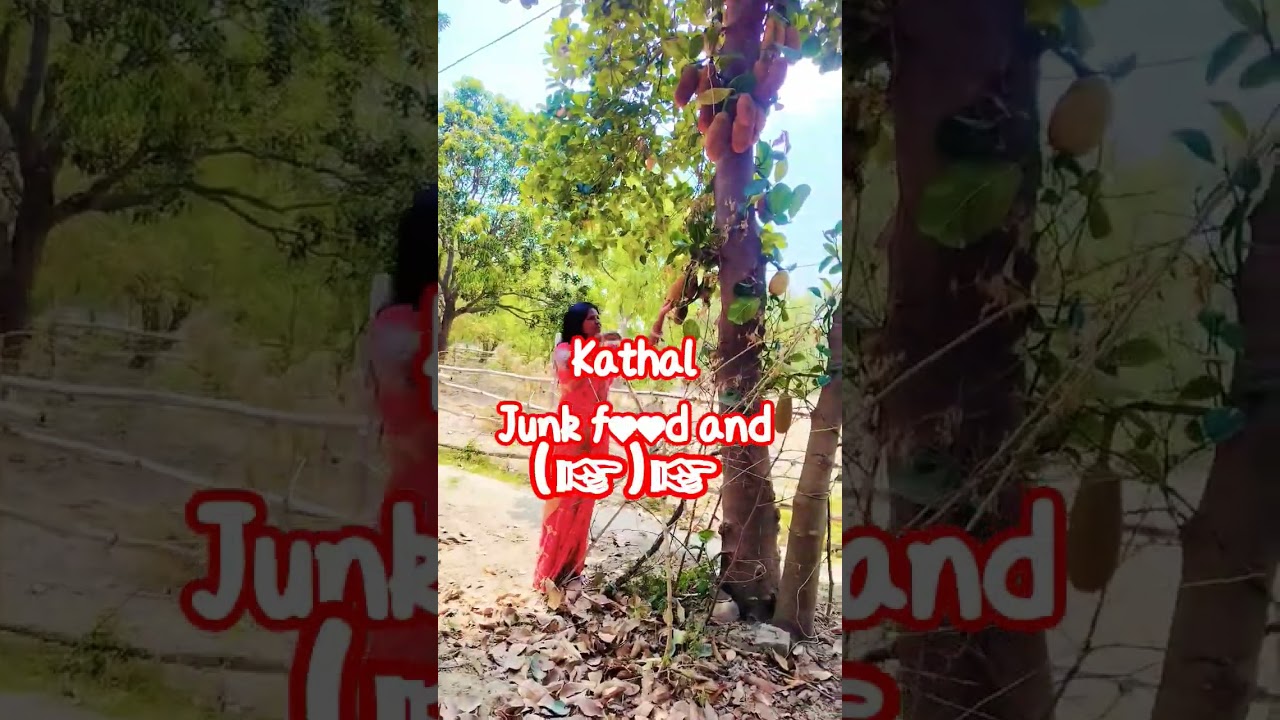 # kathal ka ped 👀