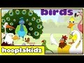 Learn About Birds - Preschool Activity