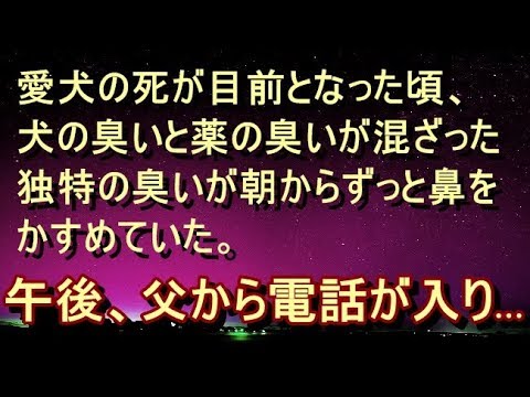 【修羅場 衝撃】【不思議】その日は朝からずっと、場所を問わずシロのにおいが「ふわっ」と香ってきていた。においがしなくなると父から連絡はが入り…