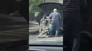 À Prendre En Compte Avant Dadopter ...