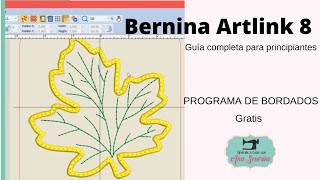 Bernina Artlink 8 como usarlo _ Guía para principiantes _ programa de bordado gratis _ video 10 screenshot 5