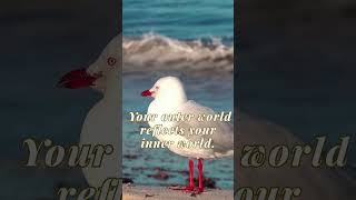 You can feel when your inner world starts changing