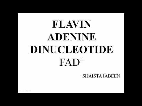 Flavin Adenine Dinucleotide (FAD) | Coenzyme | Vitamin B2 | Riboflavin | Biochemistry Lectures