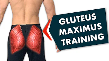 Wie kann ich den Gluteus Maximus trainieren?