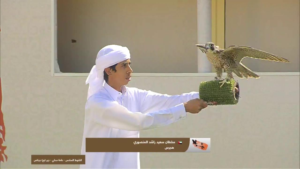 بطولة نادي الشارقة للصقارين - التلواح 2023  -  عامة محلي