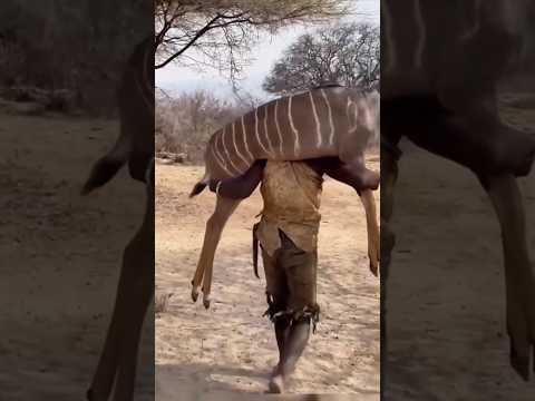 They’ve Eaten Every Animal in the Jungle — Now This Is All That’s Left! 😱 #shortvideo