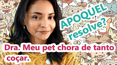 Tem como manipular Apoquel?