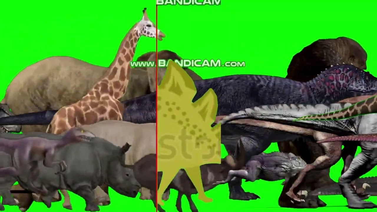 stampede part selection 3