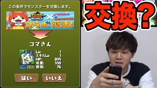 パズドラ 引けぬなら 交換しちゃおう コマさんs 新しげパズ 343 Youtube