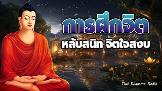 ธรรมะก่อนนอน 💕 ชีวิตสงบเย็น ปล่อยวาง มีสติ ไม่คิดไม่ทุกข์💕 Thai Dhamma Radio